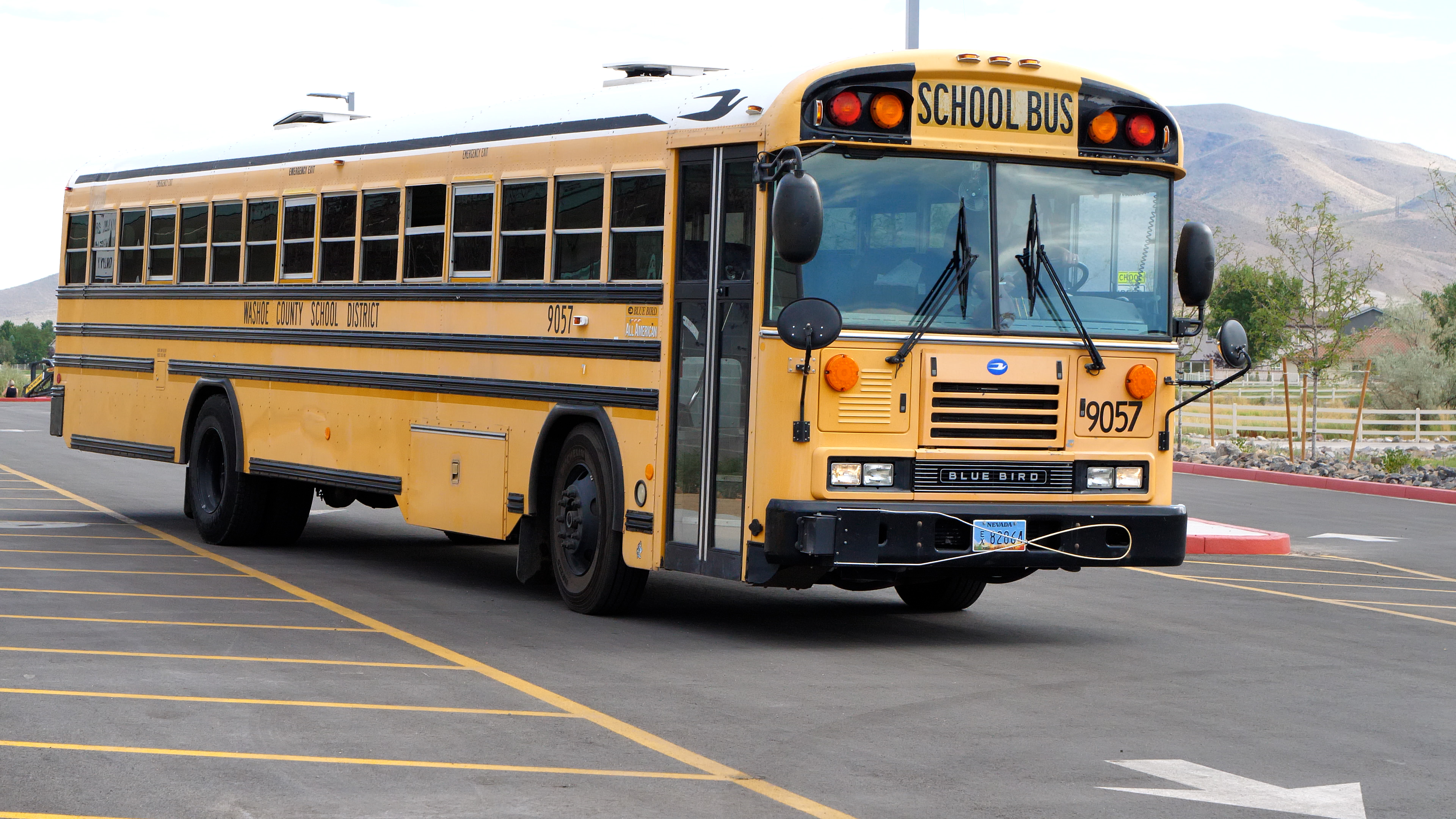  school bus